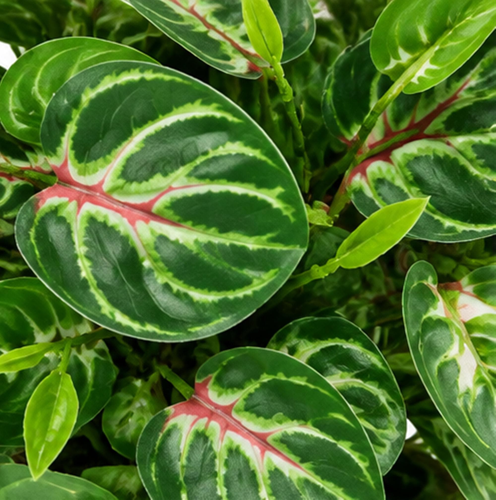Green Artificial Flower Pot, Faux Colorful Foliage Plant, Home & Office Decoration - image 3