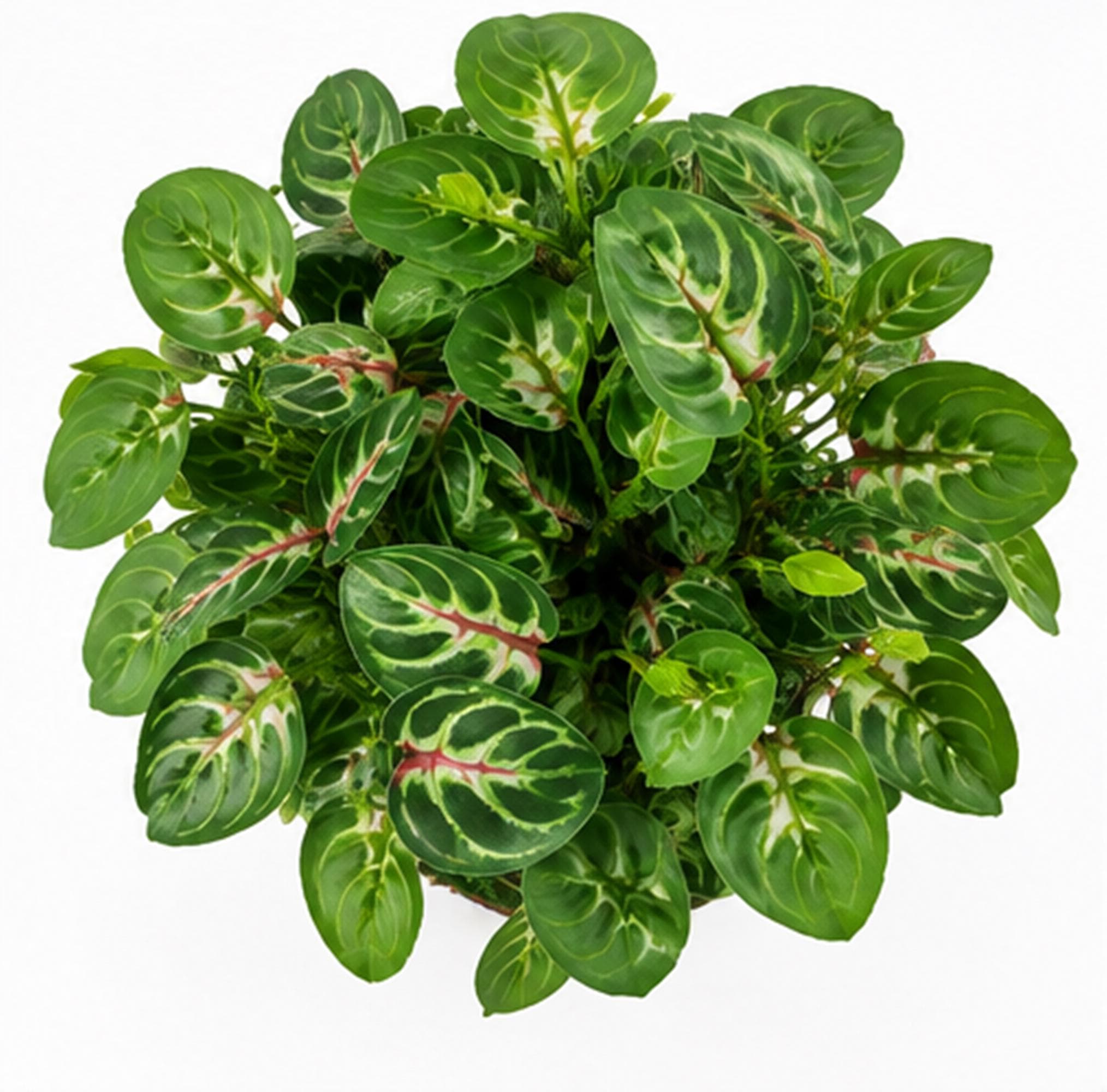 Green Artificial Flower Pot, Faux Colorful Foliage Plant, Home & Office Decoration - image 5
