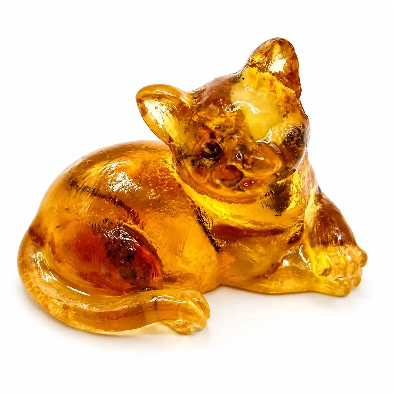 KIZIMA amber cat, white studio premium v2