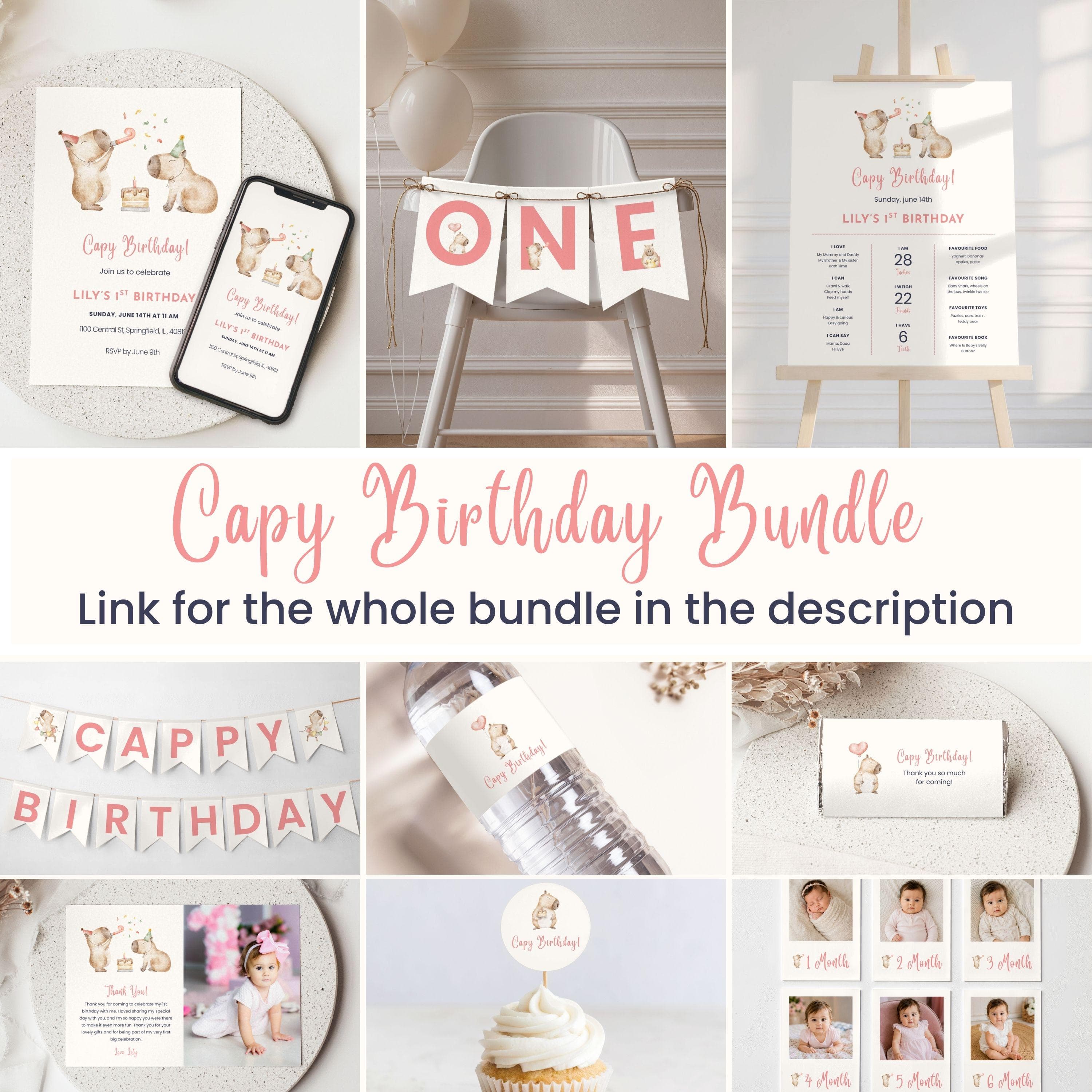 Capybara Custom Sign | Capy Girl Birthday Party Sign | 1st Birthday Decoration | Editable Canva Template | Instant Download - image 5
