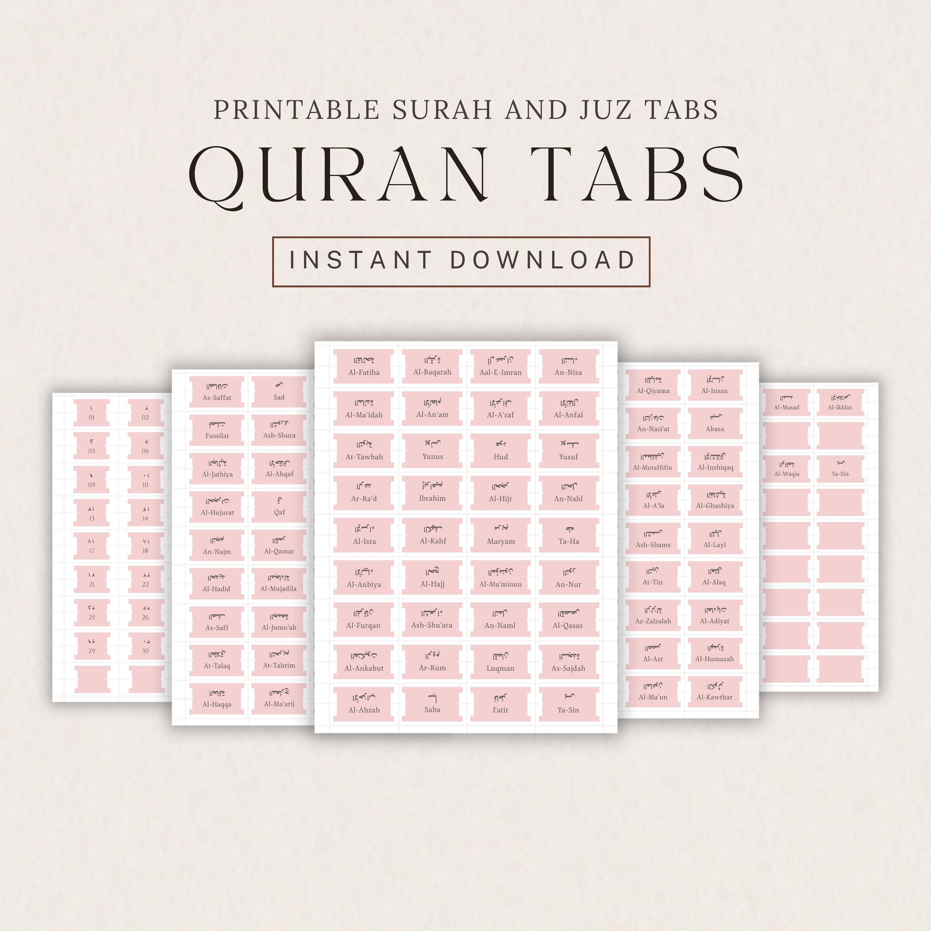 Blush Pink Quran Tabs – 114 Surah & 30 Juz Set (Digital Download) - image 2