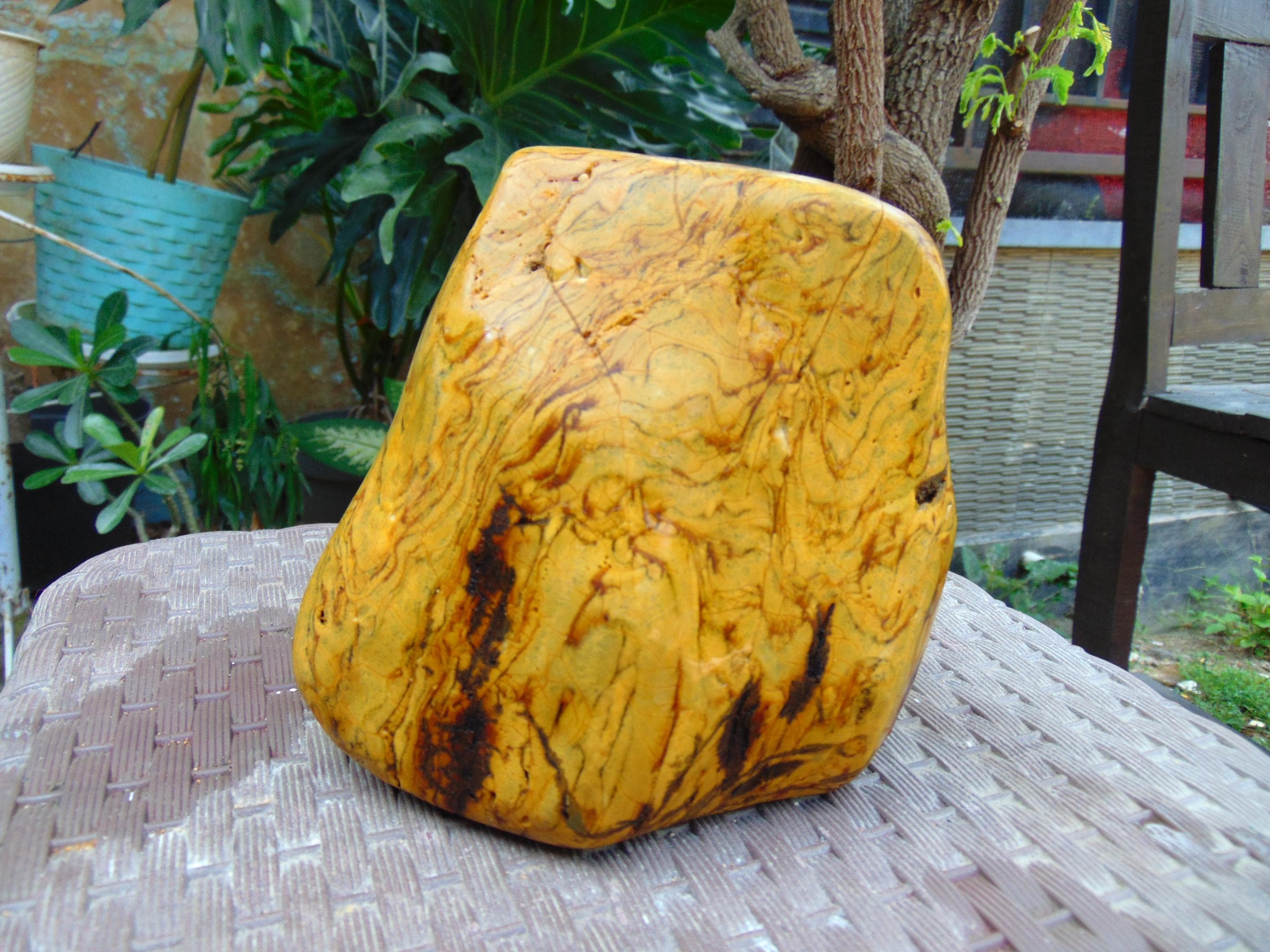 513 gram 150x142x64 mm Full Polished Indonesia Yellow Amber 26KX29