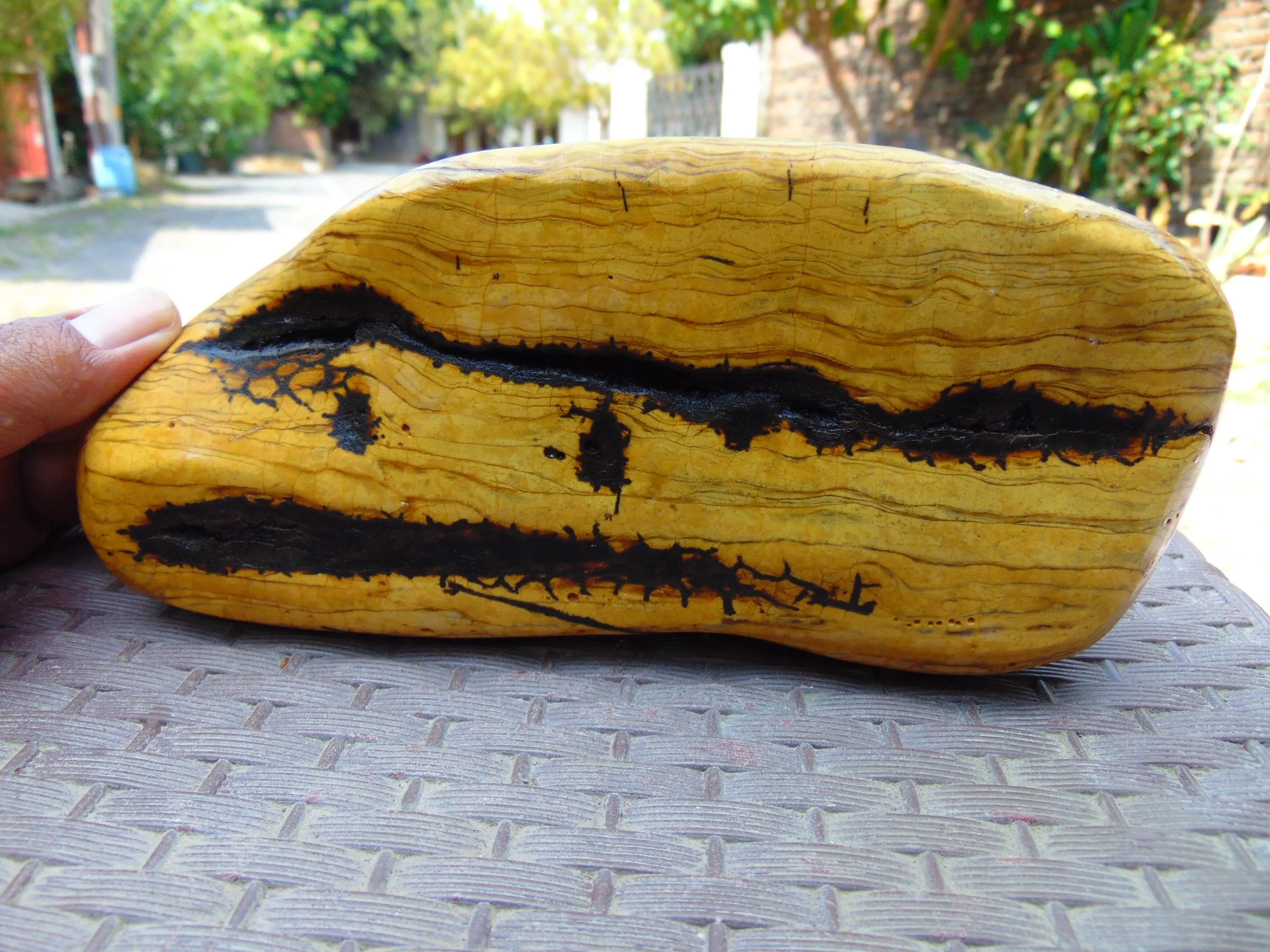 439 gram Full Polished Indonesia Yellow Cream Amber 26YY7 - image 4