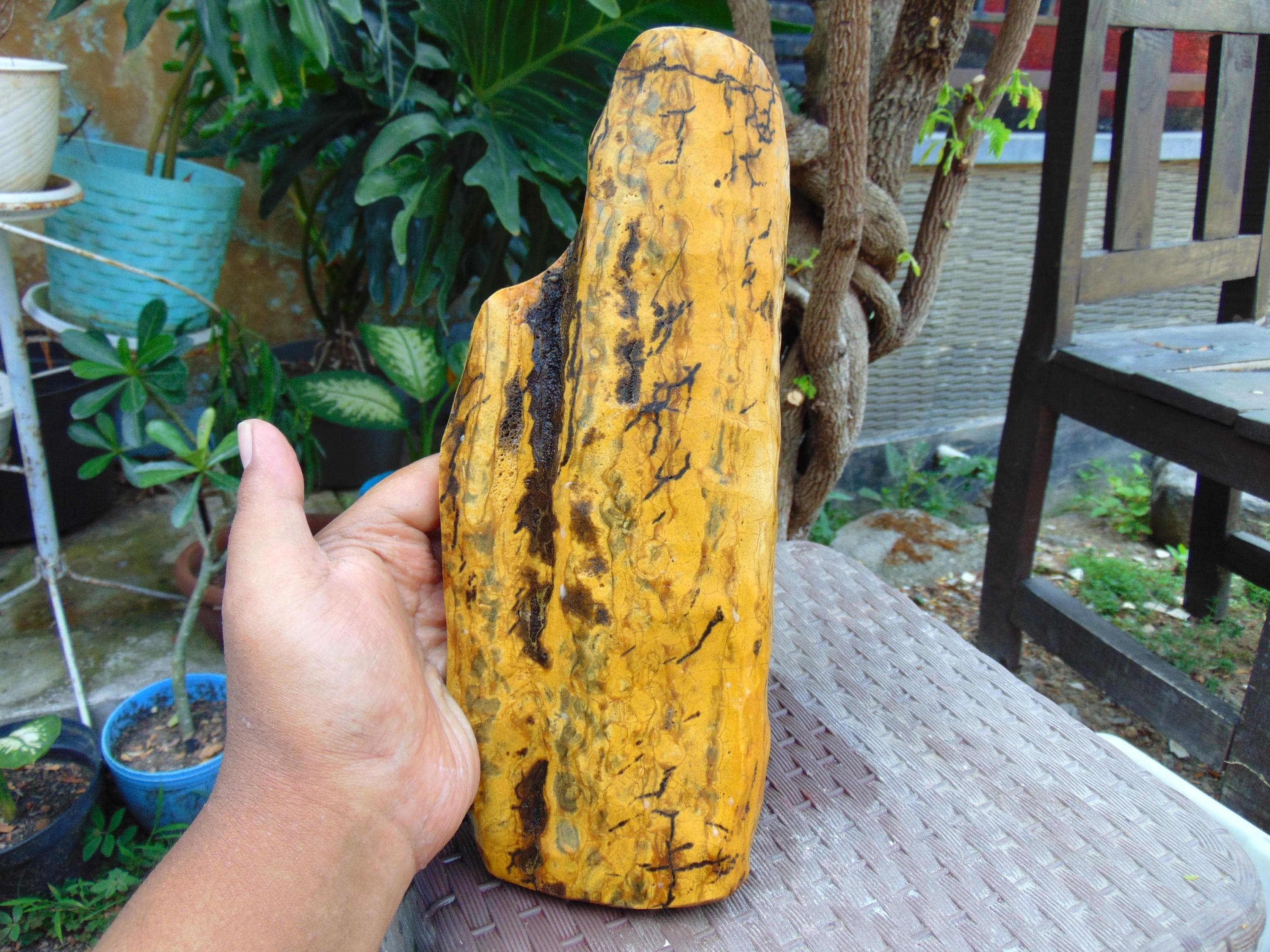 1037 gram 270x110x70 mm Full Polished Indonesia Yellow Cream Amber 26KX32