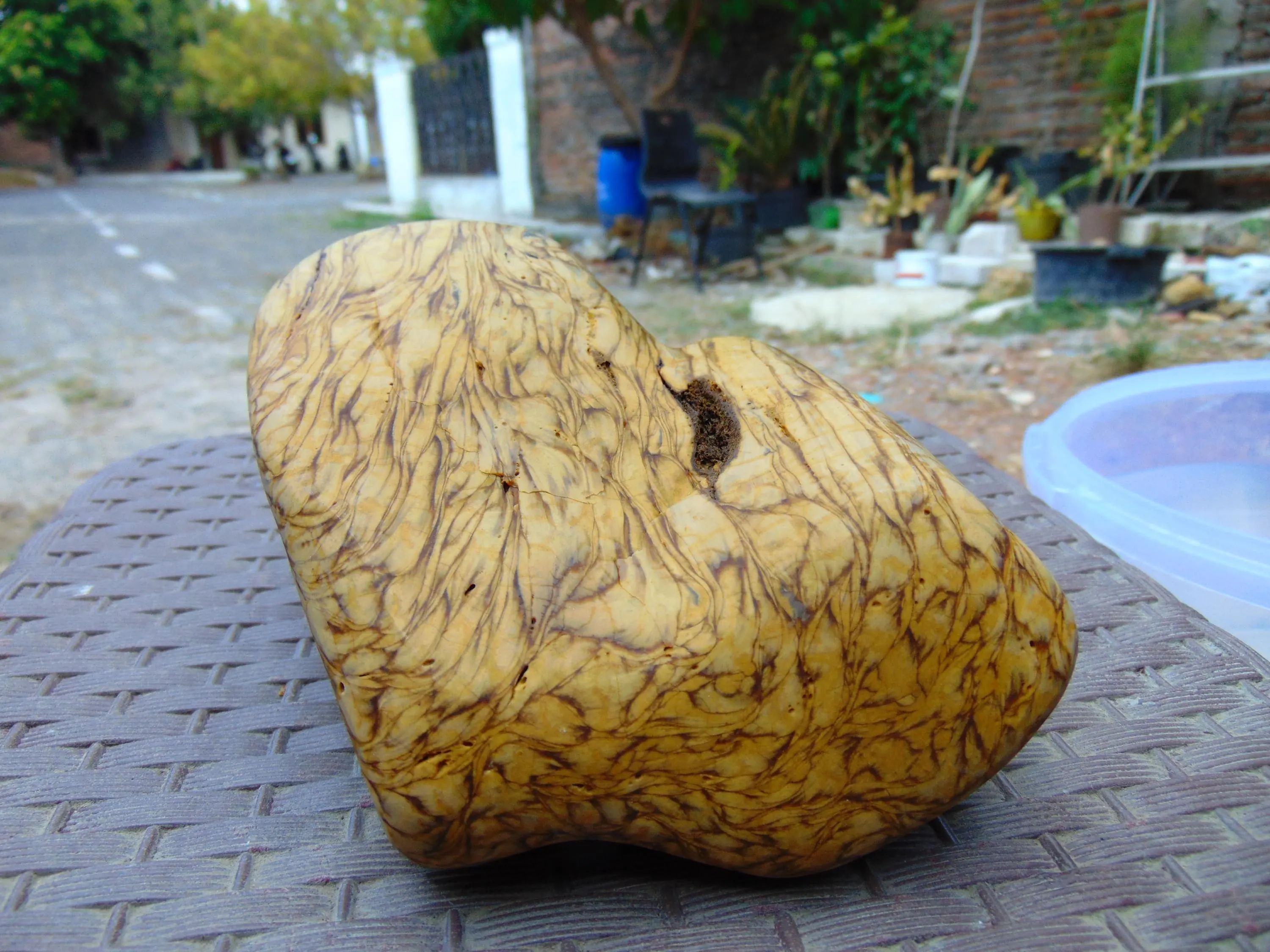 653 gram Full Polished Indonesia Yellow Cream Amber 26YY4 - image 5