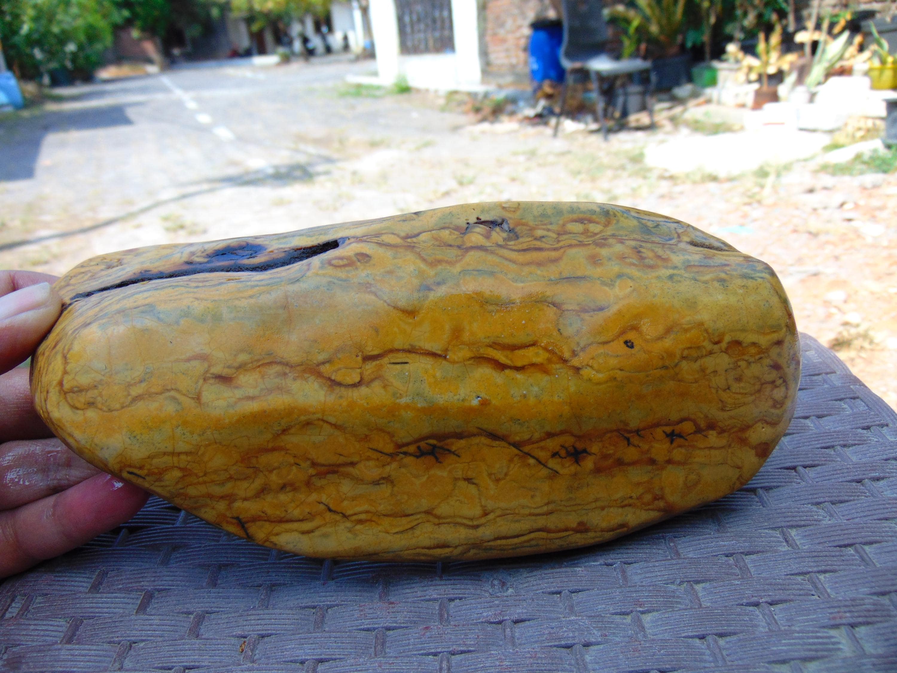 439 gram Full Polished Indonesia Yellow Cream Amber 26YY7 - image 3