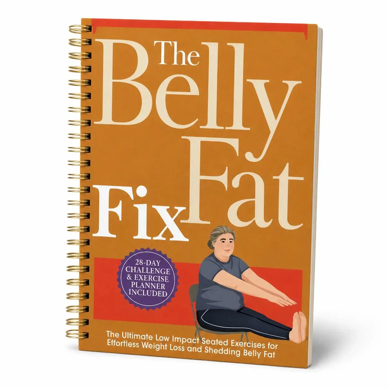 28-Day Seated Exercise Planner: Low-Impact Home Workout Journal for Weight Loss - image 3