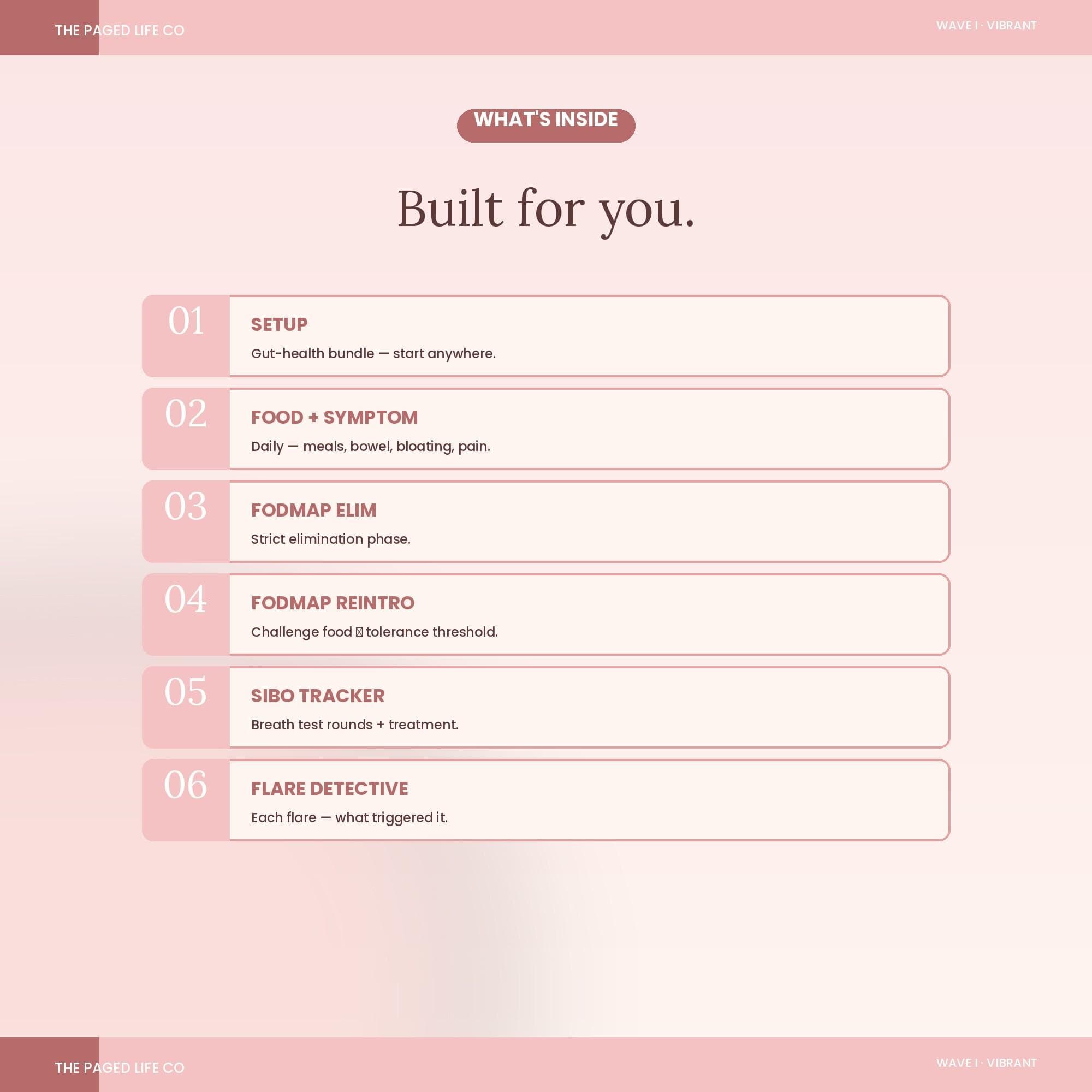 Gut Health Mega Bundle Spreadsheet | Food Symptom FODMAP SIBO IBS Bowel | 5 Aesthetic Themes | Instant Digital Download - image 4
