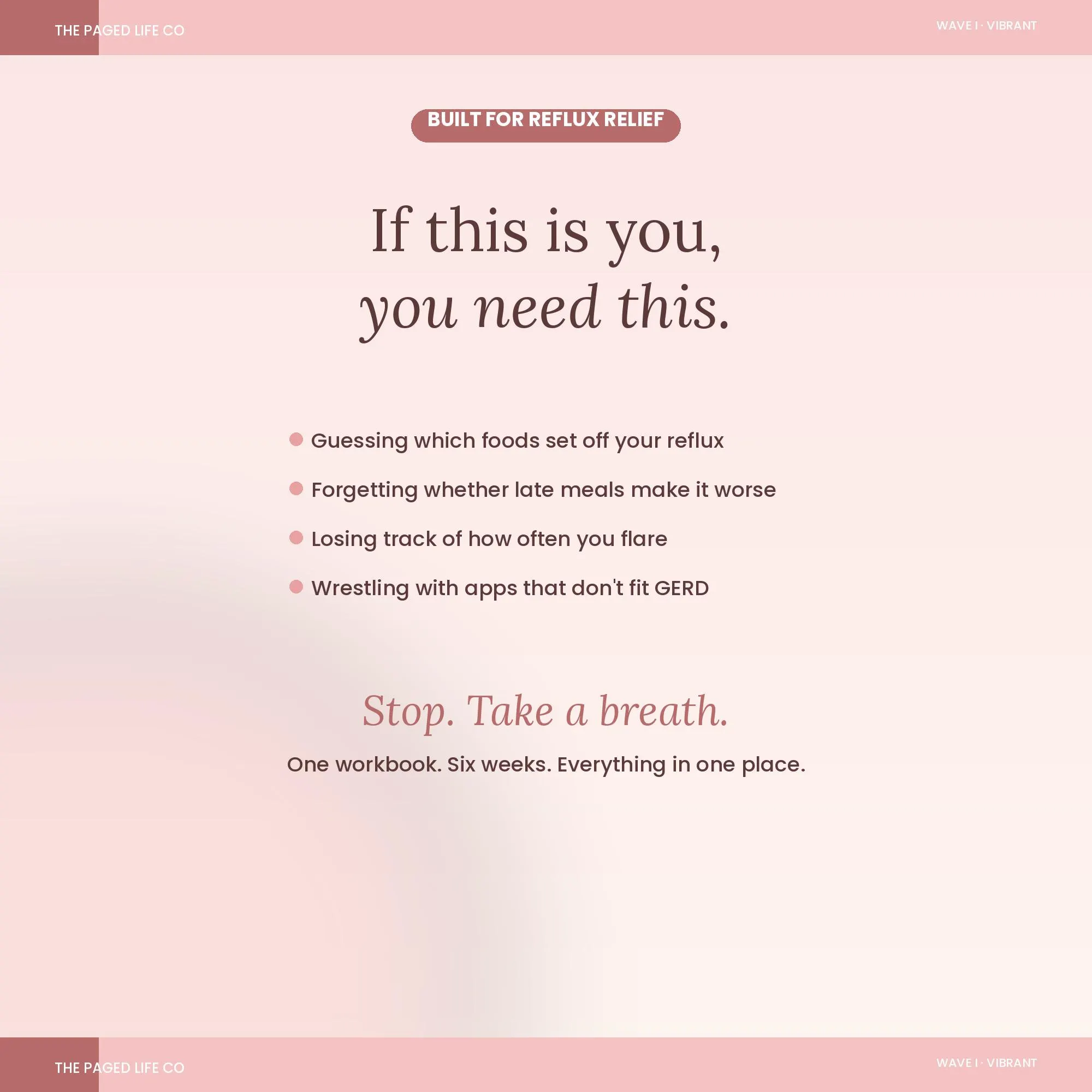 GERD Acid Reflux Tracker Spreadsheet | Foods Symptoms Meds Triggers | 5 Aesthetic Themes | Instant Digital Download - image 3