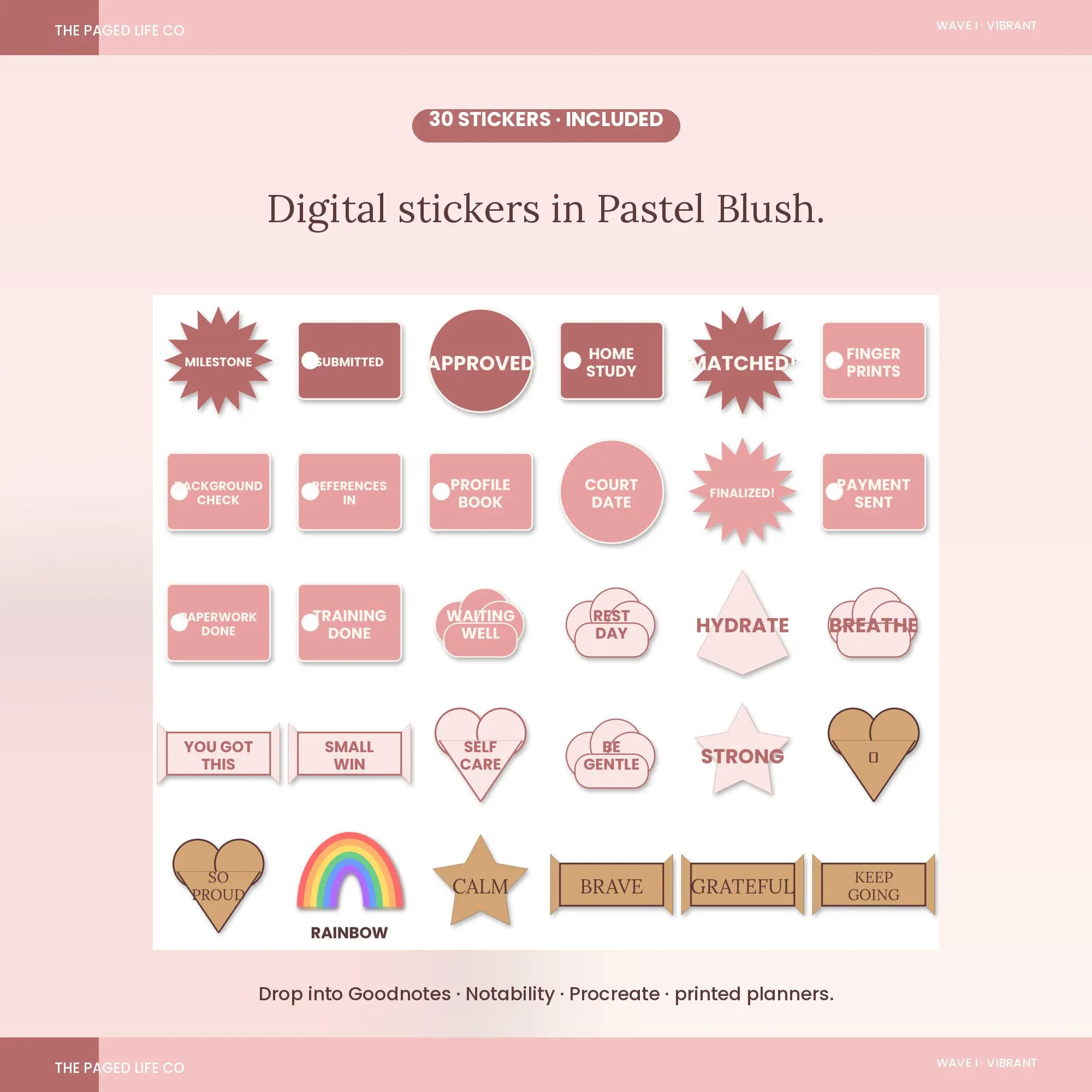 Adoption Process Tracker Spreadsheet | Home Study Match Court Finalization | 5 Aesthetic Themes | Instant Digital Download - image 4