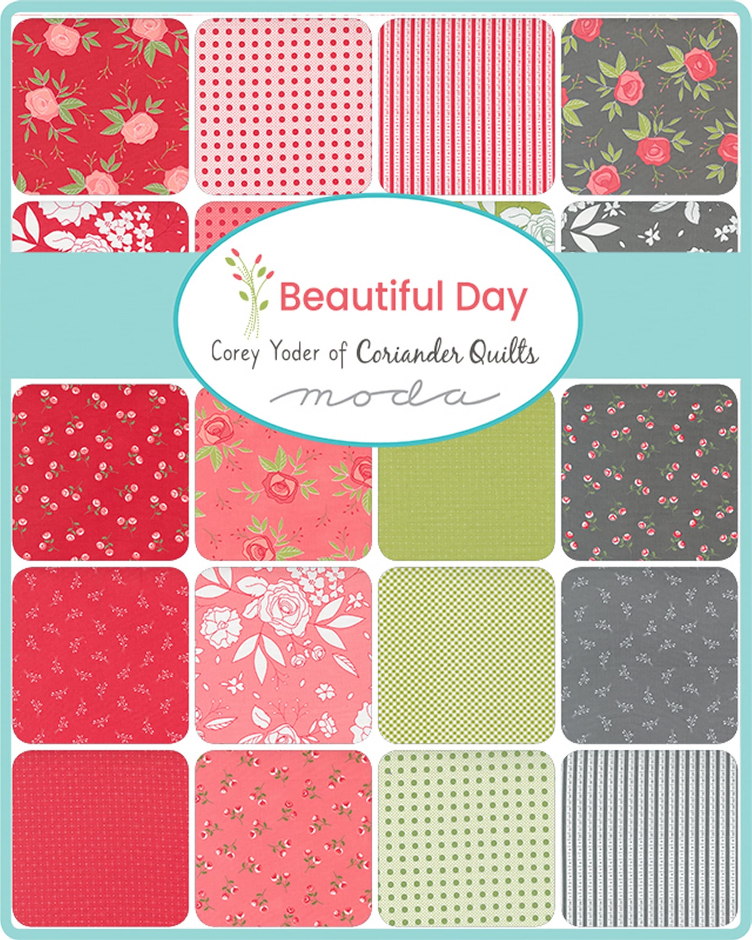 CORIANDER SEEDS - #29147-11 - Medallion - Geometrics - White on White - Corey Yoder - Moda - Blenders - Neutrals - Low Volume - image 5