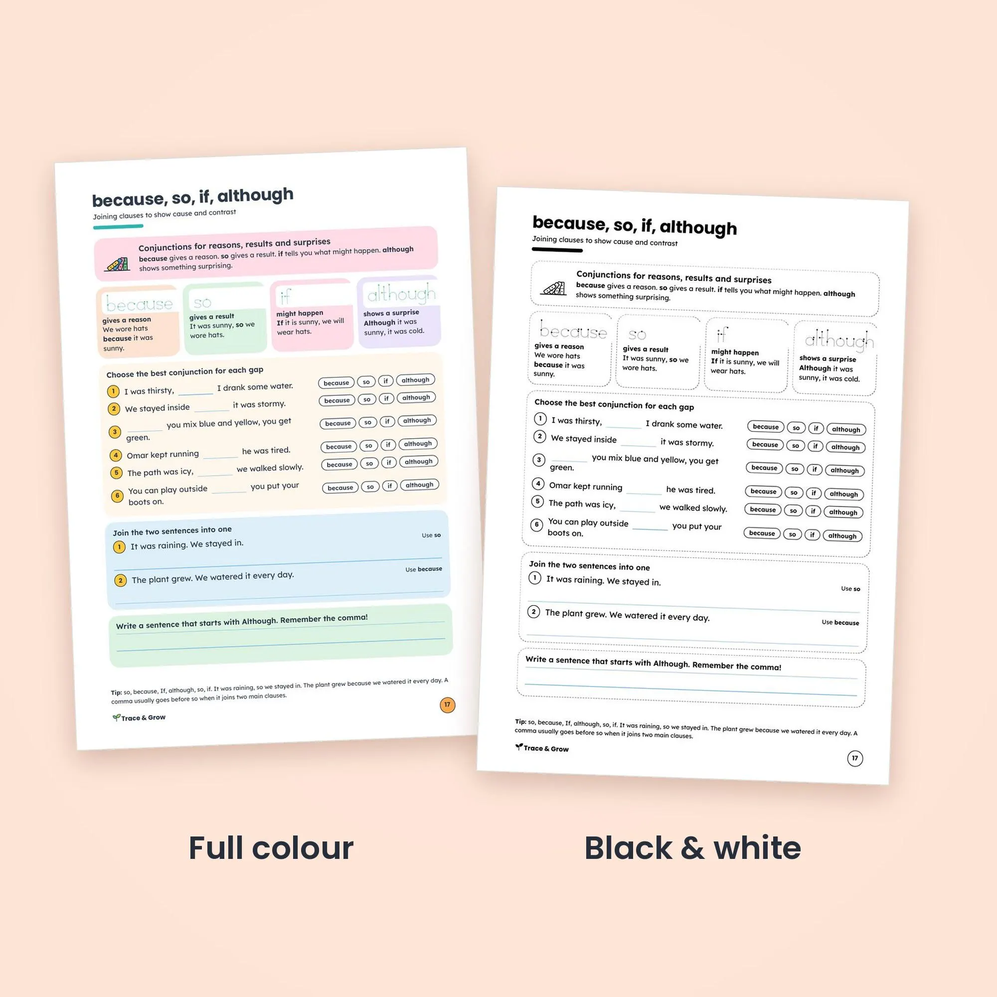 Grammar Worksheets for 2nd and 3rd Grade: inside pages