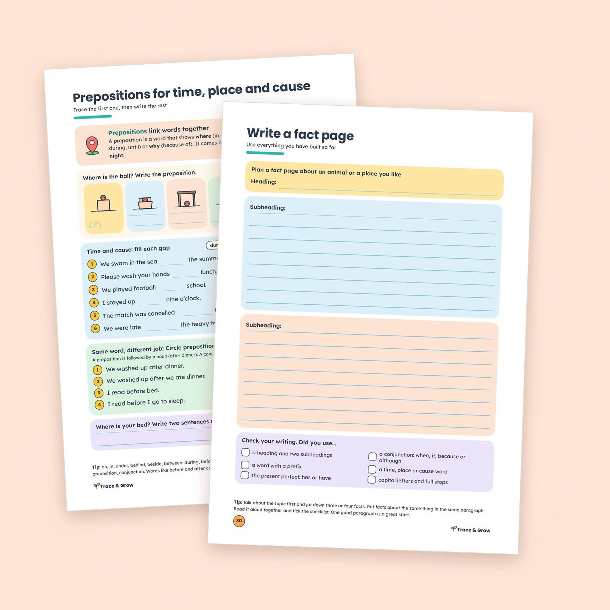 Grammar Worksheets for 2nd and 3rd Grade: inside pages